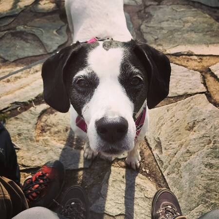 Entry image for Kaci. Clicking this image will show a larger photo