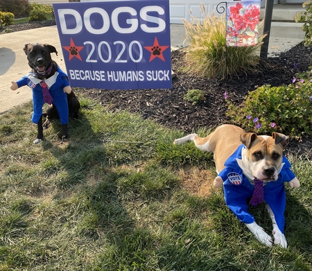 Entry image for Luna and Hyde. Clicking this image will show a larger photo