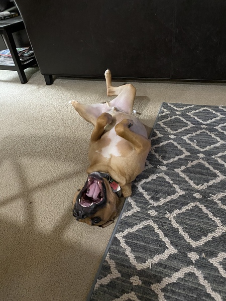 Entry image for Linkin. Clicking this image will show a larger photo