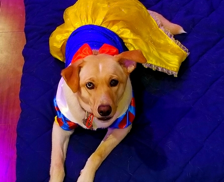 Entry image for Jolyne "JoJo". Clicking this image will show a larger photo