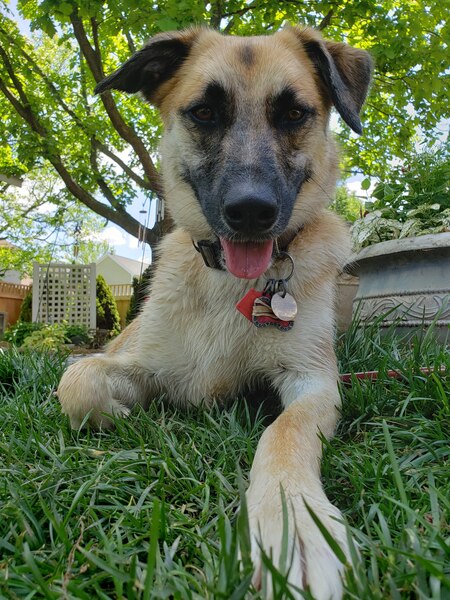 Entry image for Staci. Clicking this image will show a larger photo