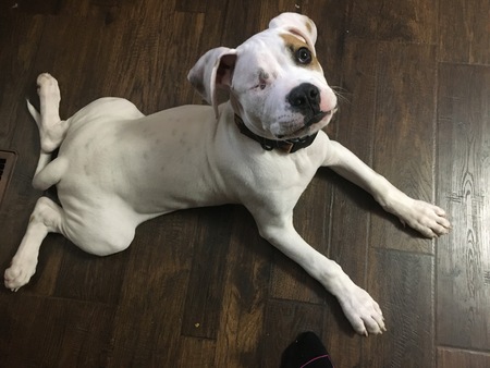 Entry image for Simon. Clicking this image will show a larger photo