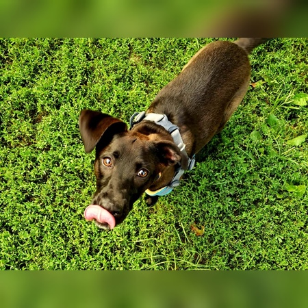 Entry image for Guinness. Clicking this image will show a larger photo