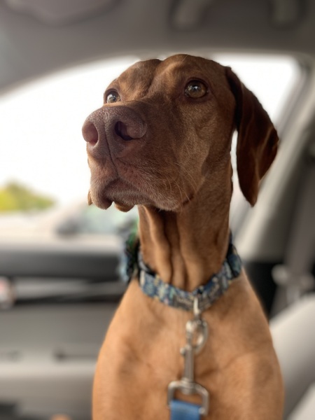 Entry image for Carly. Clicking this image will show a larger photo