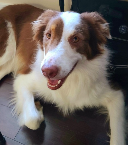 Entry image for Cas. Clicking this image will show a larger photo