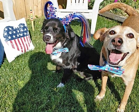 Entry image for Baker & Urban. Clicking this image will show a larger photo