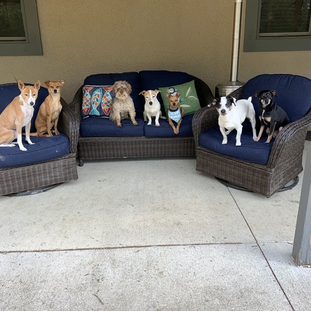 Entry image for Riley . Clicking this image will show a larger photo