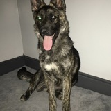 Entry image for Lulu