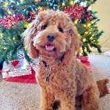 Entry image for Tucker