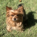 Entry image for Wrigley