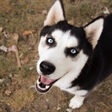 Entry image for Kita 