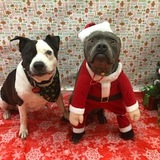 Entry image for Maddie & Blue