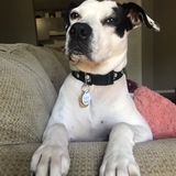 Entry image for Xander