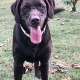 Entry image for Remi Jo