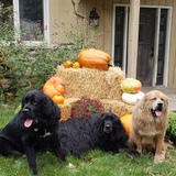 Entry image for Nyx, MikaZuki,Aries