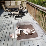 Entry image for Titus