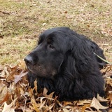 Entry image for MikaZuki