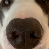 Entry image for Karl