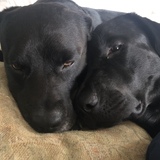 Entry image for Bailey & Cooper