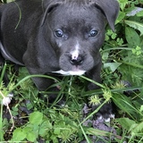 Entry image for Parker K 