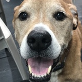 Entry image for Texas