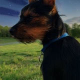 Entry image for Chase