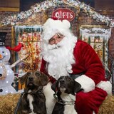 Entry image for Meucci & Rush