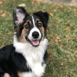 Entry image for Tucker