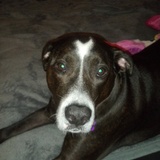 Entry image for Karma