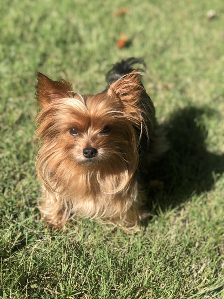 Entry image for Wrigley. Clicking this image will show a larger photo