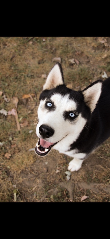 Entry image for Kita . Clicking this image will show a larger photo