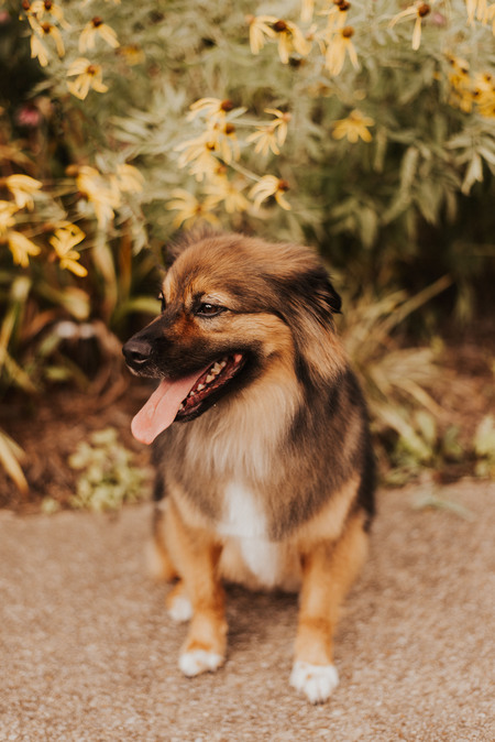 Entry image for Peyton. Clicking this image will show a larger photo