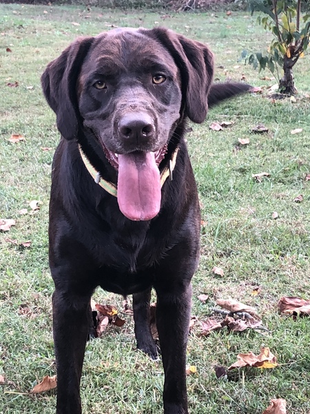 Entry image for Remi Jo. Clicking this image will show a larger photo