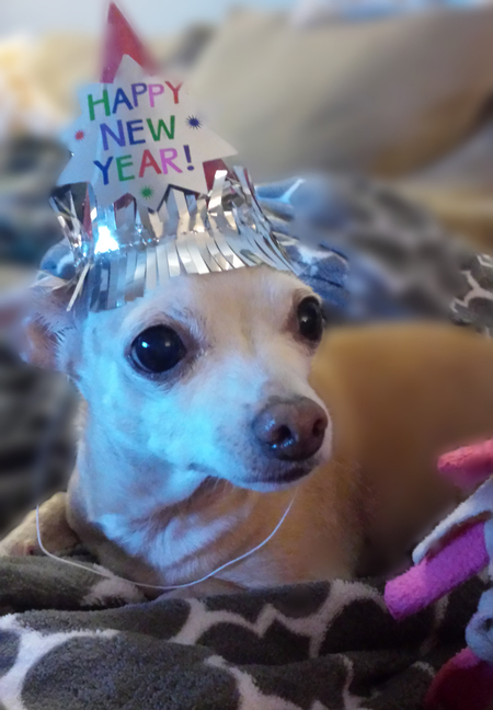 Entry image for Mia. Clicking this image will show a larger photo