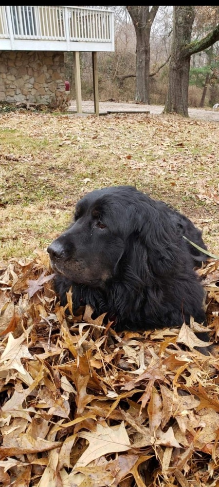 Entry image for MikaZuki. Clicking this image will show a larger photo