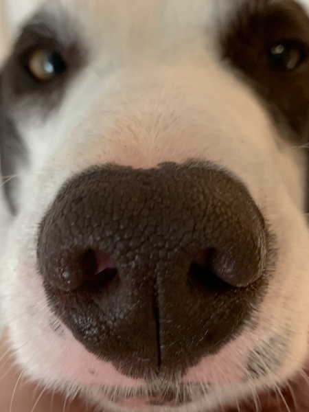 Entry image for Karl. Clicking this image will show a larger photo