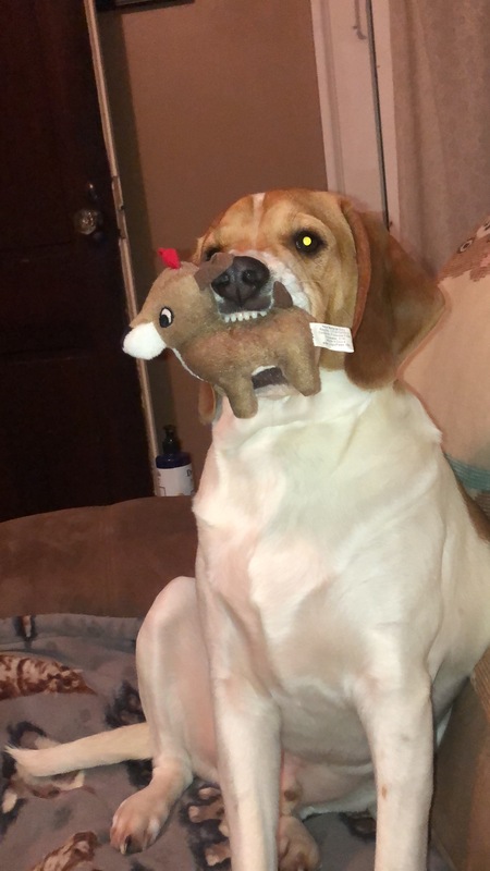 Entry image for Doc Holiday. Clicking this image will show a larger photo