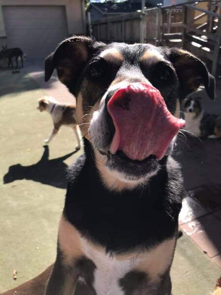 Entry image for Max. Clicking this image will show a larger photo