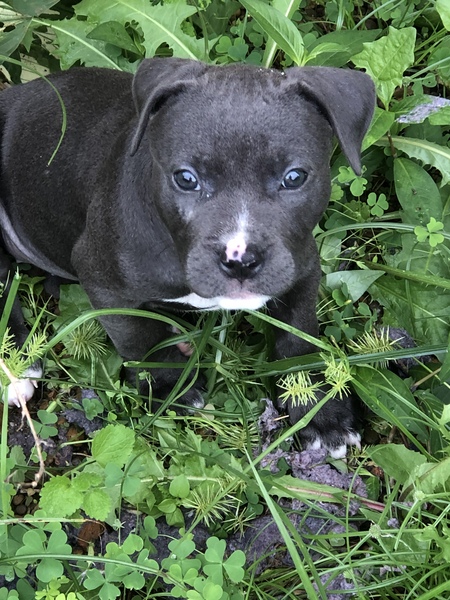 Entry image for Parker K . Clicking this image will show a larger photo