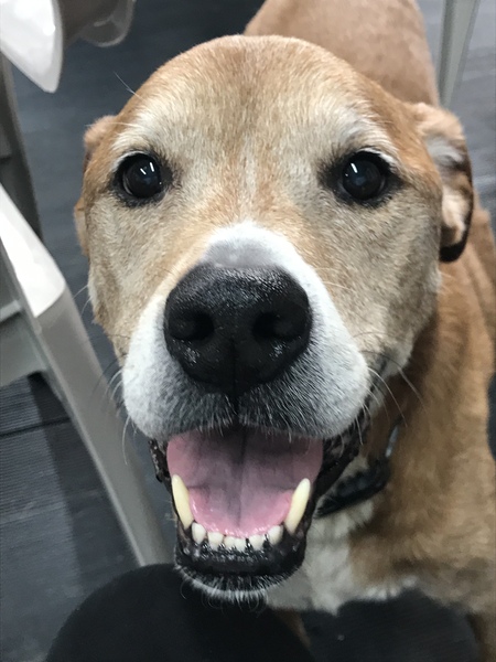 Entry image for Texas. Clicking this image will show a larger photo