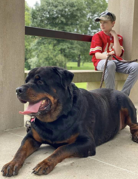 Entry image for Augustus . Clicking this image will show a larger photo