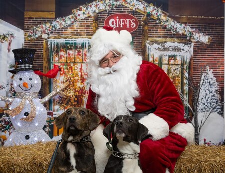 Entry image for Meucci & Rush. Clicking this image will show a larger photo