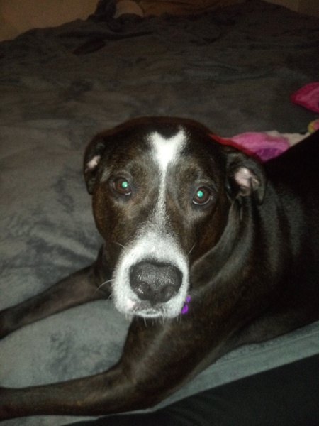 Entry image for Karma. Clicking this image will show a larger photo