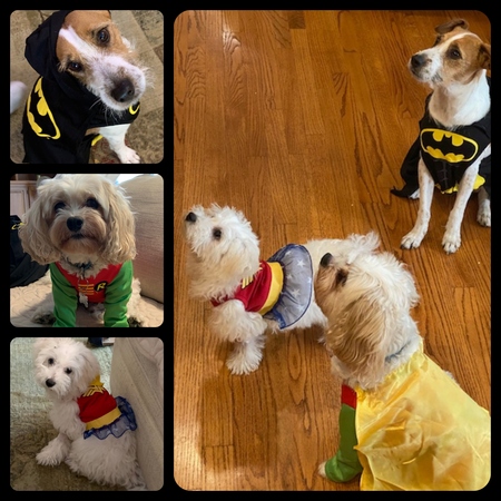 Batman Robin & Wonder Woman (PJ, Izzy & Ruthie)