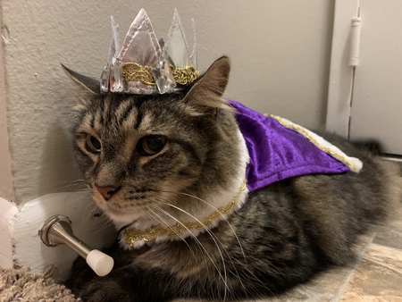 Marbo (AKA King Kitty)