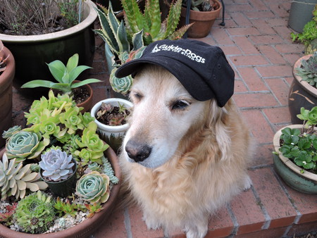 Molly Humphrey decked in GDB hat