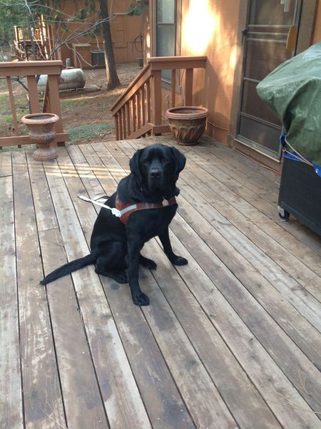 Brinkley