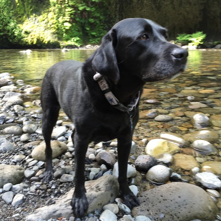 Finbar