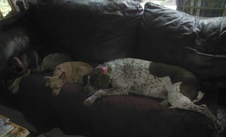 Ronnie, Penny,and Nellie