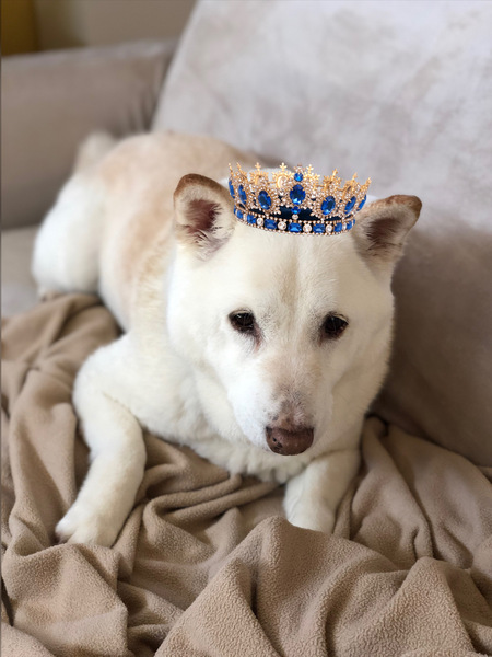 Kuma